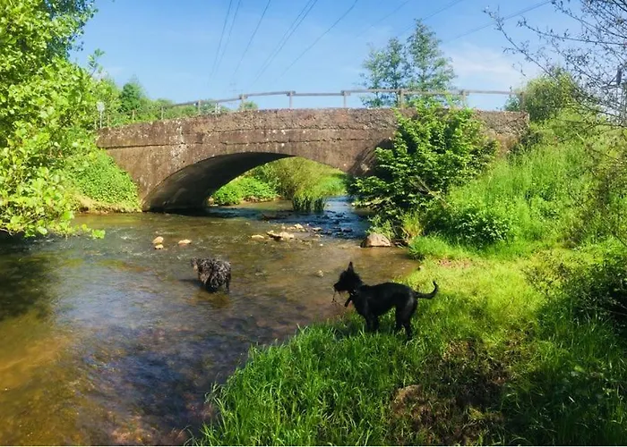 La Meu Hébergement de vacances Trassem